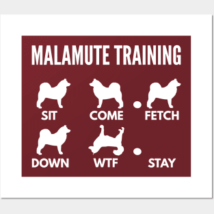 Malamute Training Malamute Dog Tricks Posters and Art